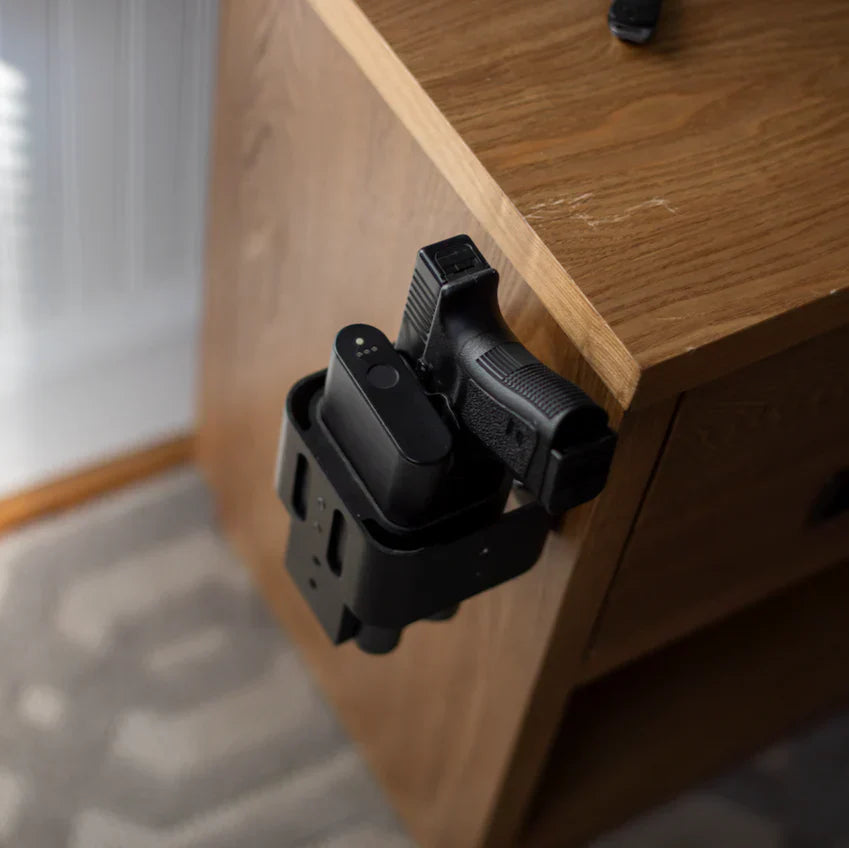 REACH HUNDGUN SAFE
