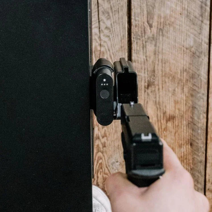 REACH HUNDGUN SAFE